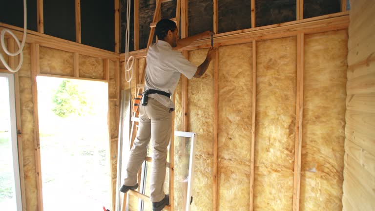 Types of Insulation We Offer in Las Palmas Ii, TX